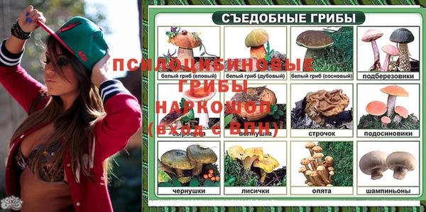 СК Абаза