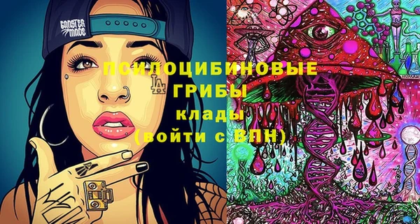 МДПВ Абдулино