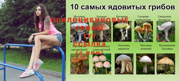 марихуана Абинск