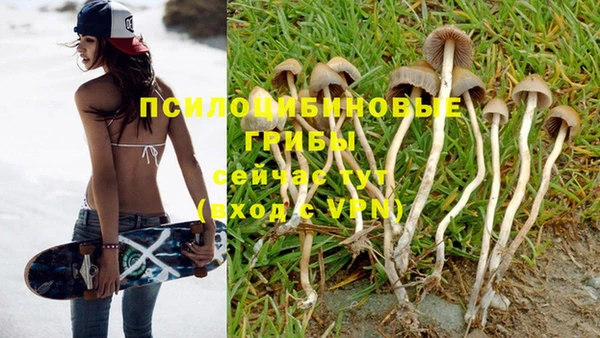 СК Абаза