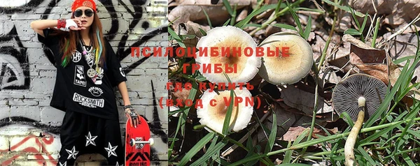 МДПВ Абдулино