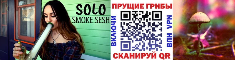 Галлюциногенные грибы GOLDEN TEACHER  Астрахань 