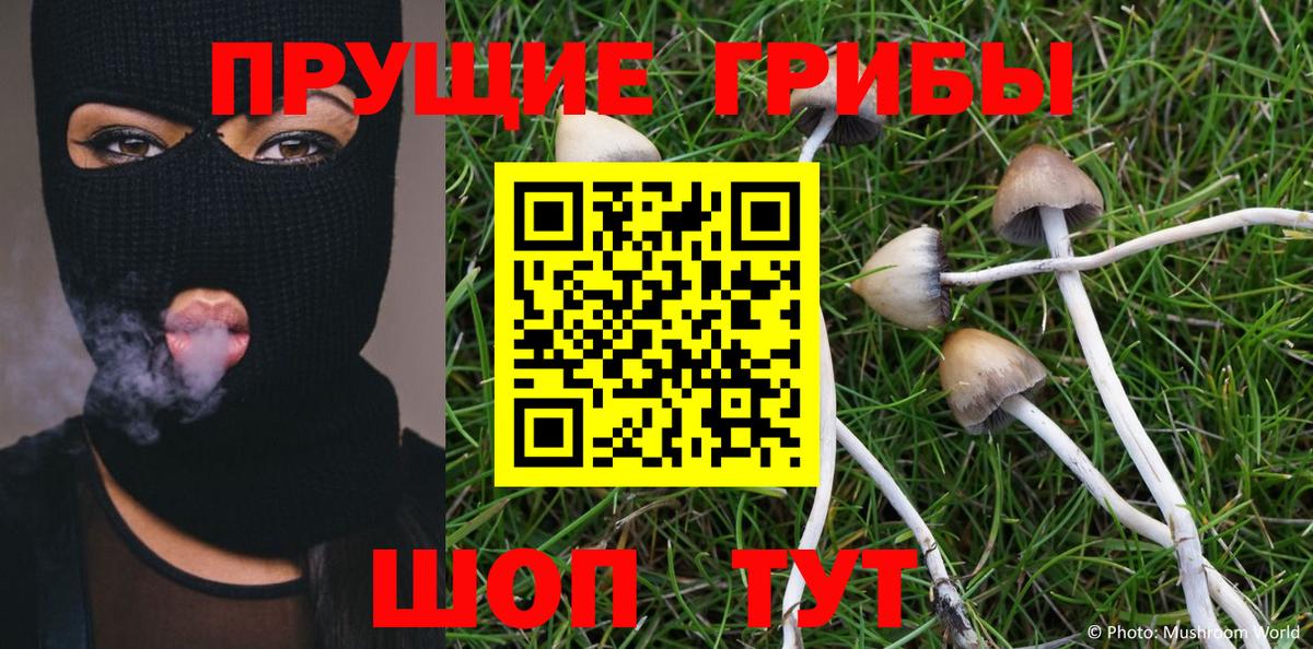 Псилоцибиновые грибы Magic Shrooms Астрахань