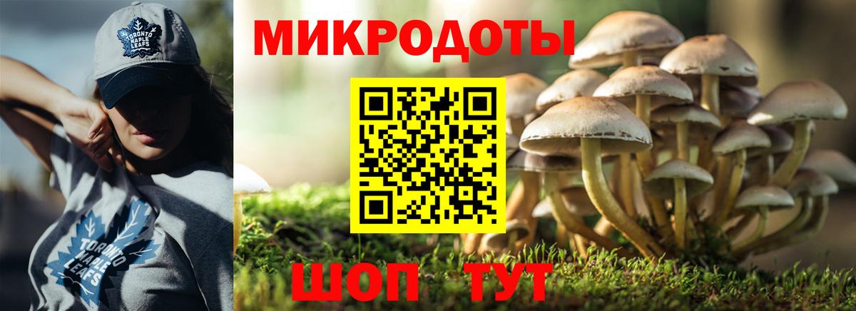 Галлюциногенные грибы MAGIC MUSHROOMS  Вход с VPN  Псилоцибиновые грибы Psilocybe  Астрахань 